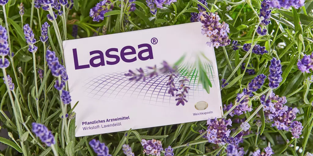 Lasea Packung in Lavendelfeld
